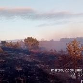 El incendio de Ferreras baja a Nivel 1 tras eliminarse el riesgo para la población de Riofrío (León) El incendio de Ferreras baja a Nivel 1 tras eliminarse el riesgo para la población de Riofrío (León)