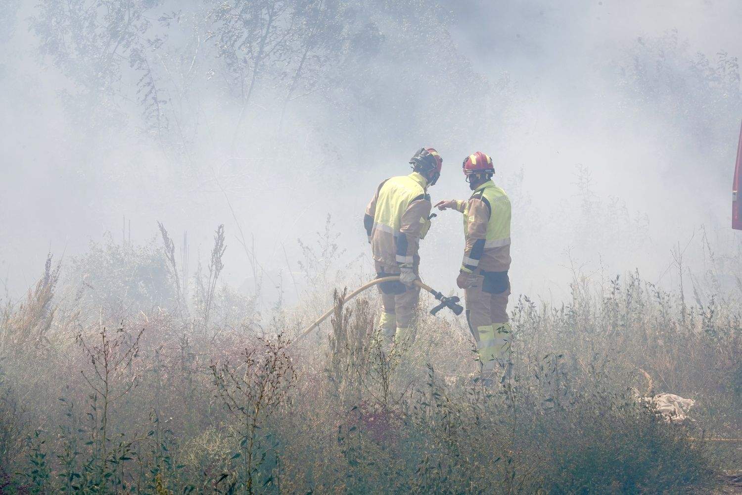 Incendio frente a la Escuela de Ingeniería Agraria y Forestal de León | Campillo / ICAL