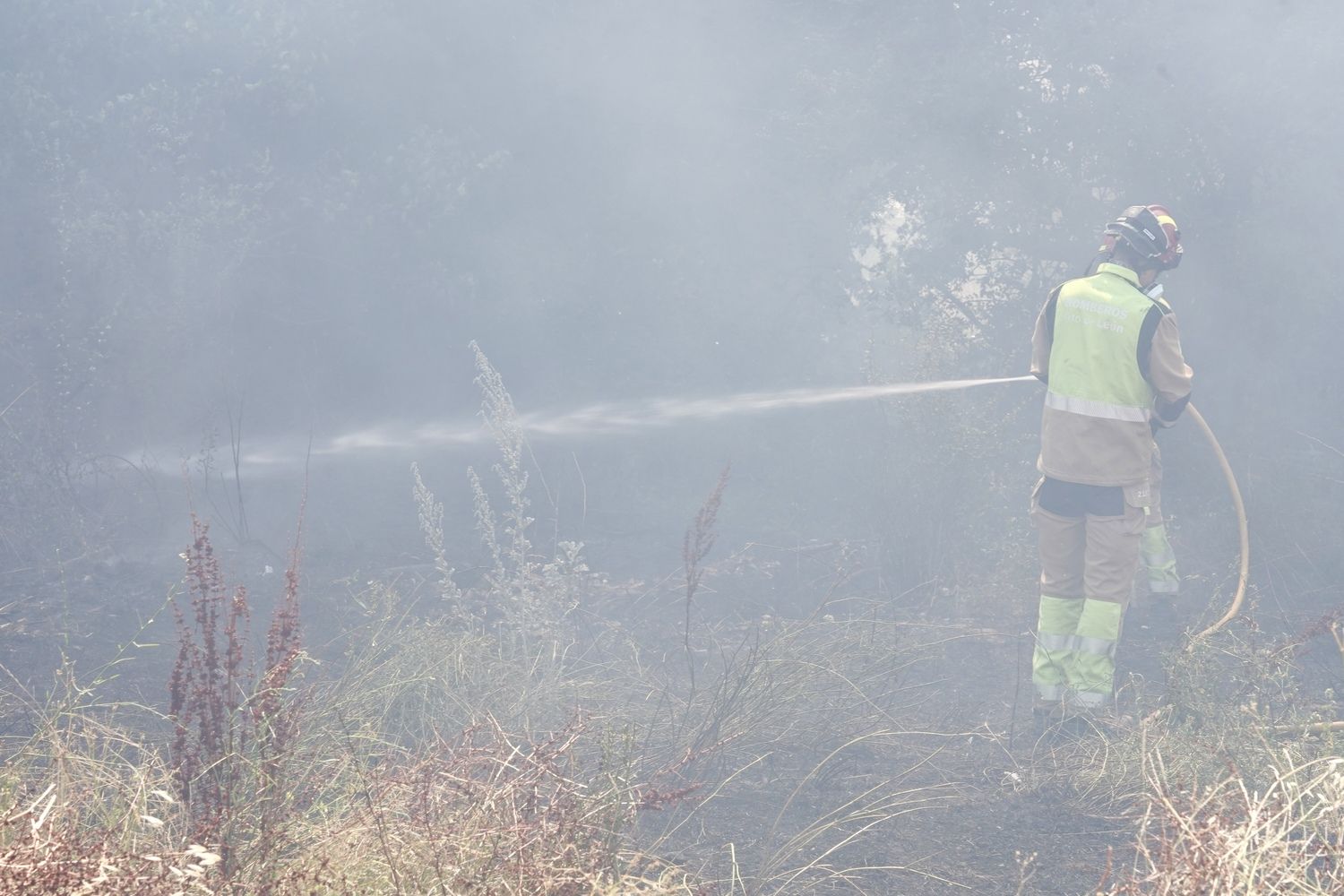 Incendio frente a la Escuela de Ingeniería Agraria y Forestal de León | Campillo / ICAL