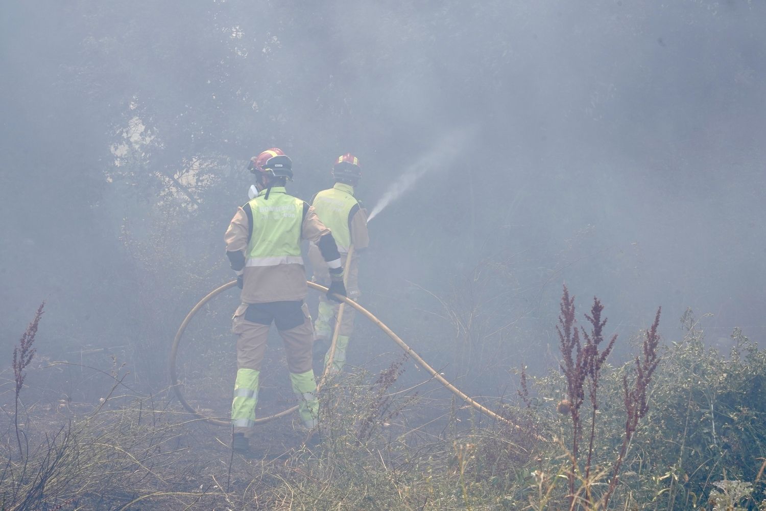 Incendio frente a la Escuela de Ingeniería Agraria y Forestal de León | Campillo / ICAL