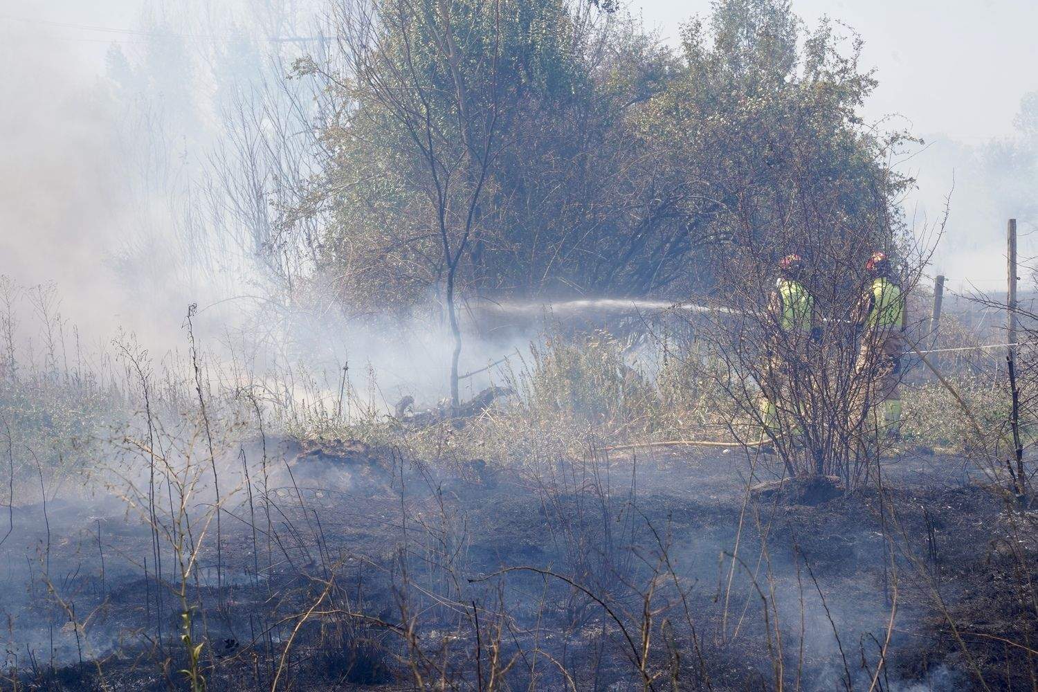 Incendio frente a la Escuela de Ingeniería Agraria y Forestal de León | Campillo / ICAL