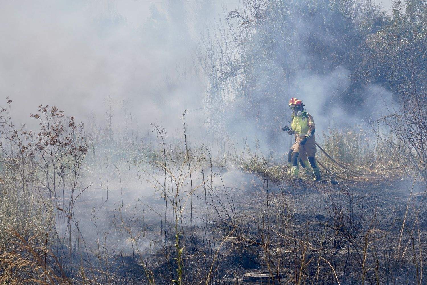 Incendio frente a la Escuela de Ingeniería Agraria y Forestal de León | Campillo / ICAL