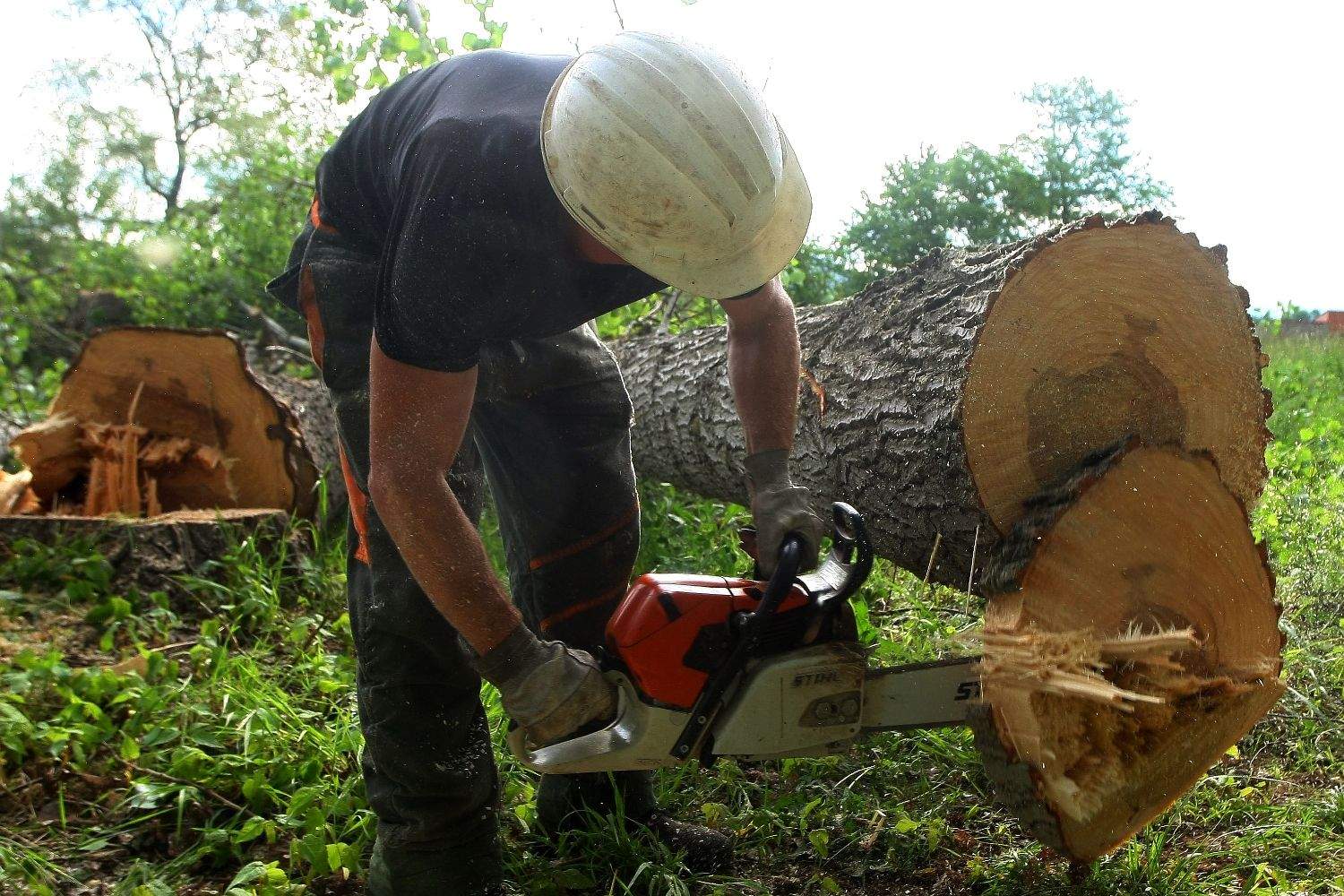 La provincia de León lidera la bajada del paro en la Comunidad con 3.500 desempleados menos