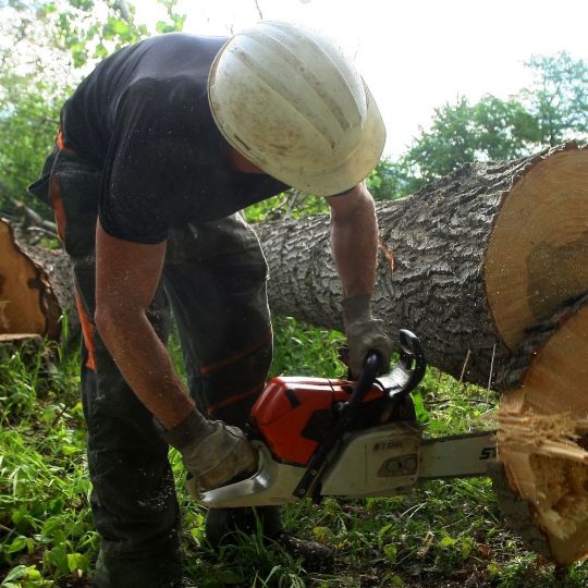 La provincia de León marca su mejor cifra del paro en enero desde 2019 con 21.000 desempleados La provincia de León marca su mejor cifra del paro en enero desde 2019 con 21.000 desempleados