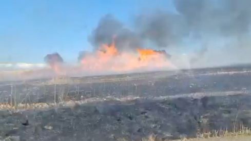 Medios terrestres y aéreos movilizados para sofocar un incendio en Val de San Lorenzo (León) | ATBrif