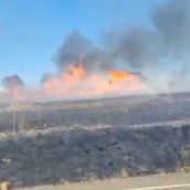 Medios terrestres y aéreos movilizados para sofocar un incendio en Val de San Lorenzo (León) | ATBrif