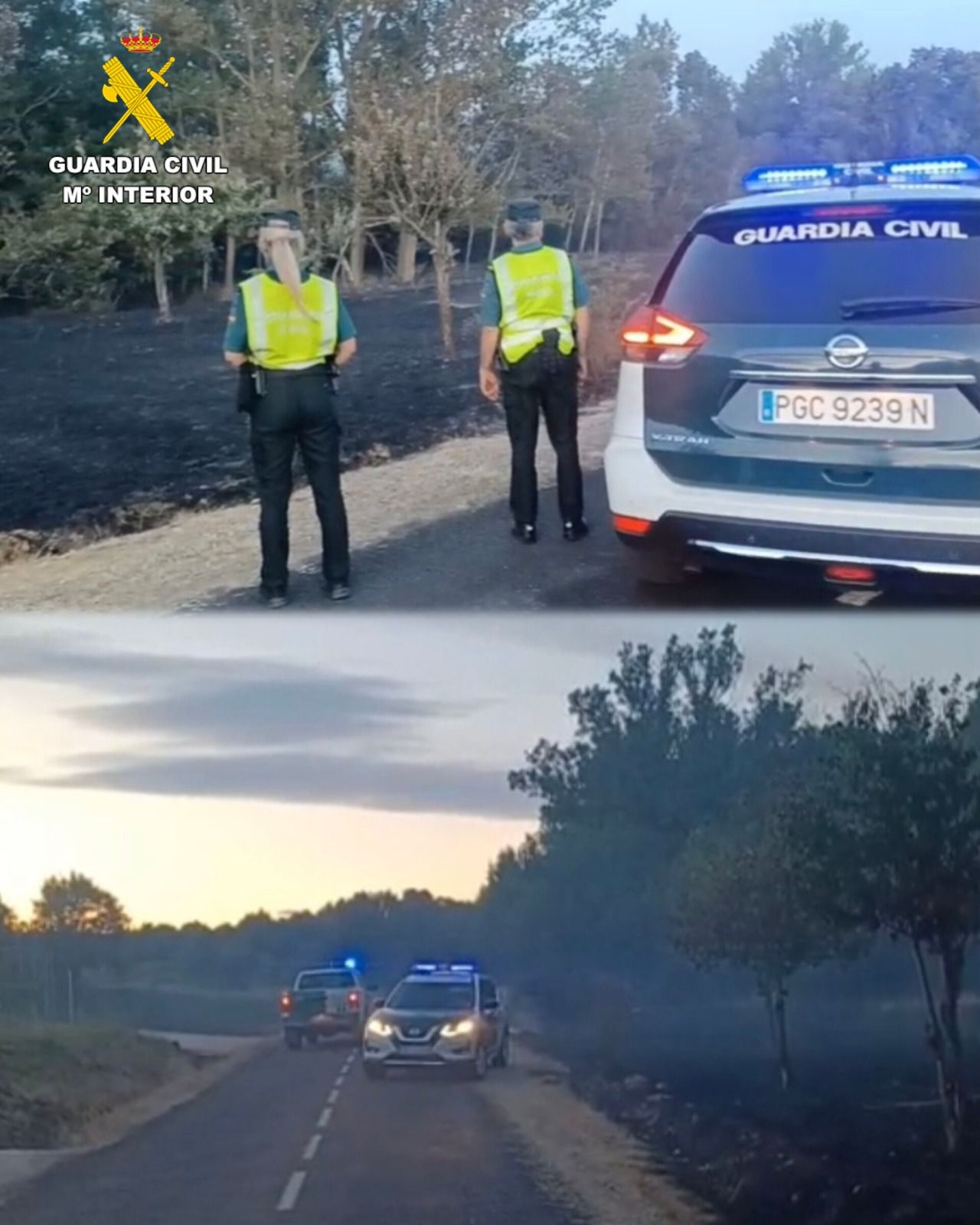 WhatsApp Image 2025 07 25 at 12.49.38 WhatsApp Image 2025 07 25 at 12.49.38