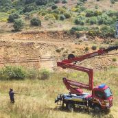Investigan la muerte de varias cigüeñas blancas tiroteadas en sus nidos de Villaobispo de los Oteros (León)