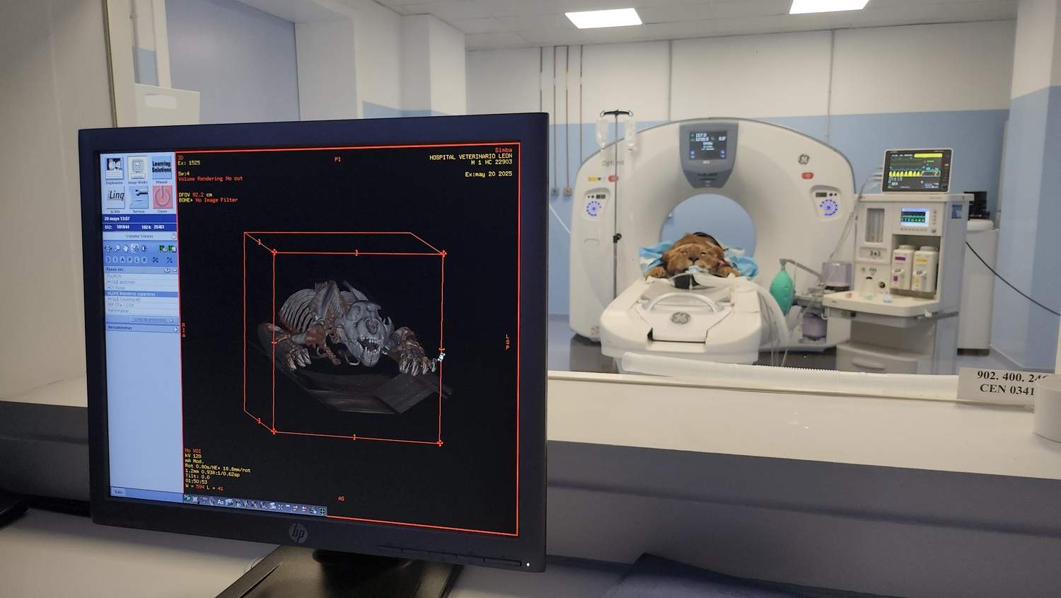 Hospital Veterinario ULE Leones de Cabarceno (2)