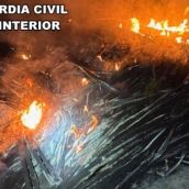 Detenidos por robar 500kg de cable y quemarlos en el Parque Regional Montaña de Riaño y Mampodre (León) 