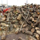 La provincia de León registra un leve aumento en el paro alcanzando los 19.845 desempleados en julio