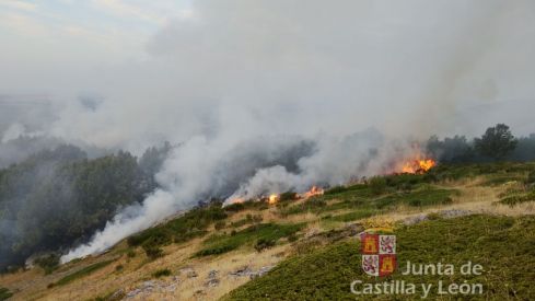 Declarado de nivel 1 un incendio forestal intencionado en Olleros de Alba (León)