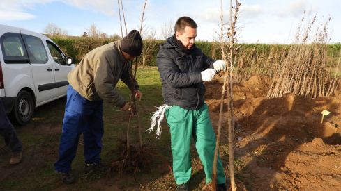 La Diputación de León impulsa las zonas verdes en el medio rural con una nueva campaña de reparto de árboles