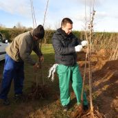 La Diputación de León lanza una campaña para transformar los pueblos con árboles y plantas ornamentales