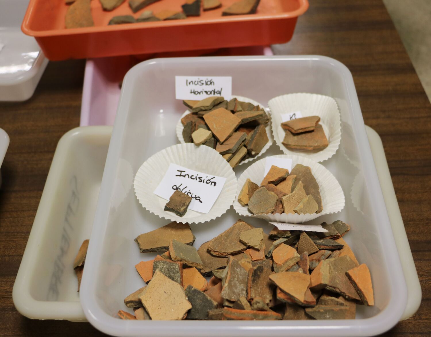 Restos hallados en el Castro de los Judíos que serán analizados en los laboratorios de la Universidad de León