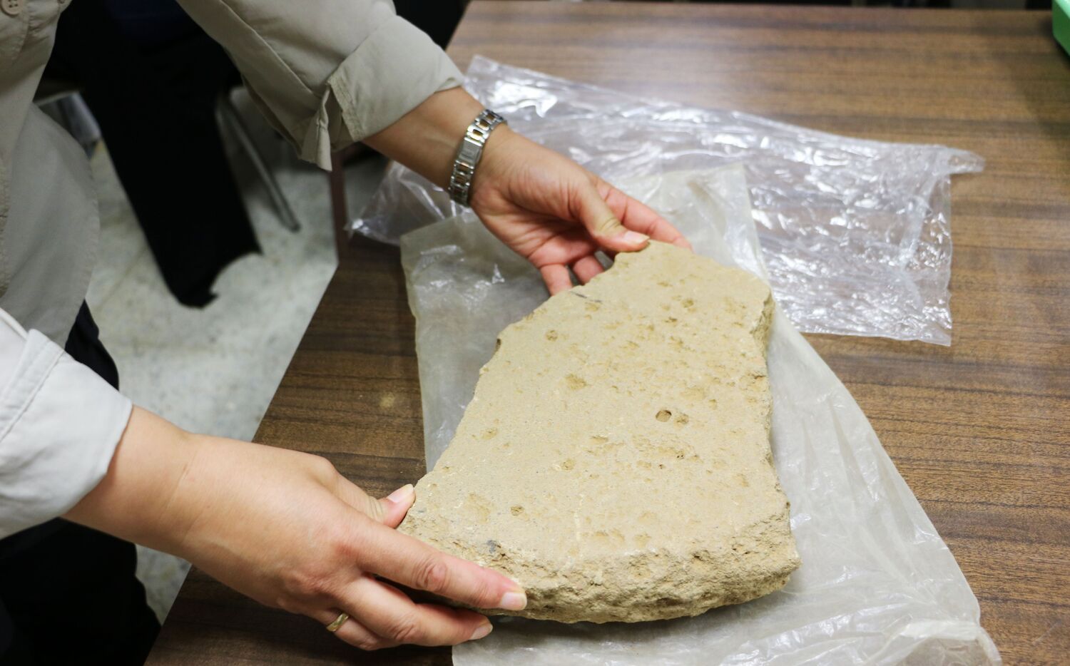 Restos hallados en el Castro de los Judíos que serán analizados en los laboratorios de la Universidad de León
