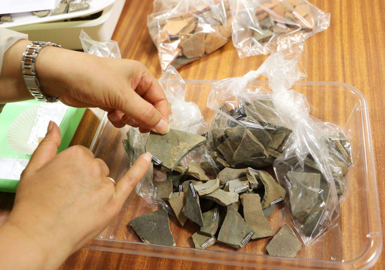 Restos hallados en el Castro de los Judíos que serán analizados en los laboratorios de la Universidad de León