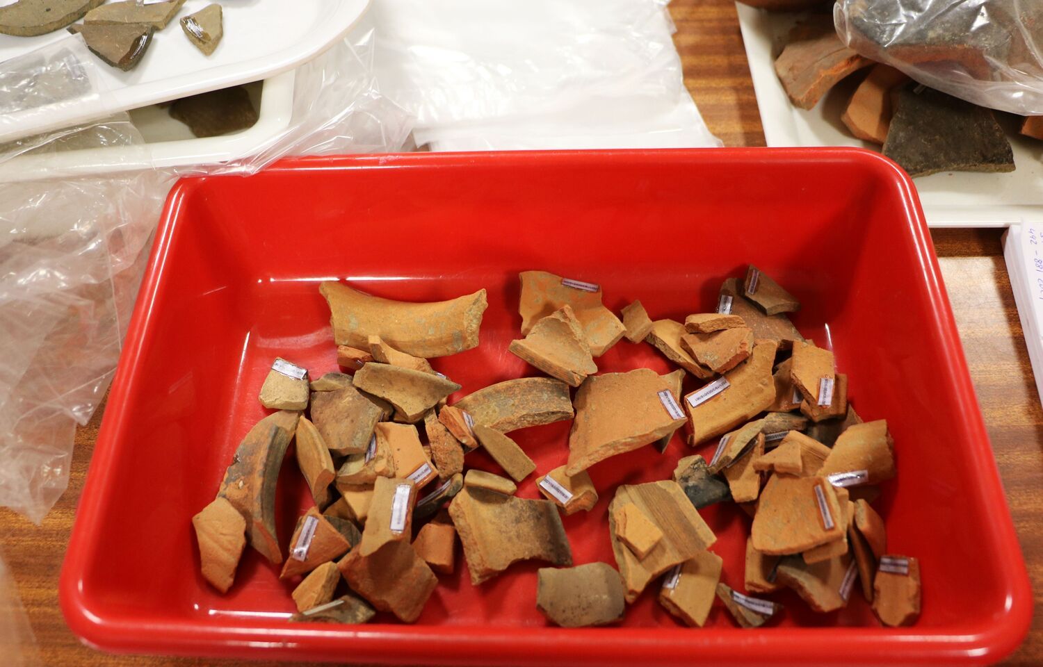 Restos hallados en el Castro de los Judíos que serán analizados en los laboratorios de la Universidad de León