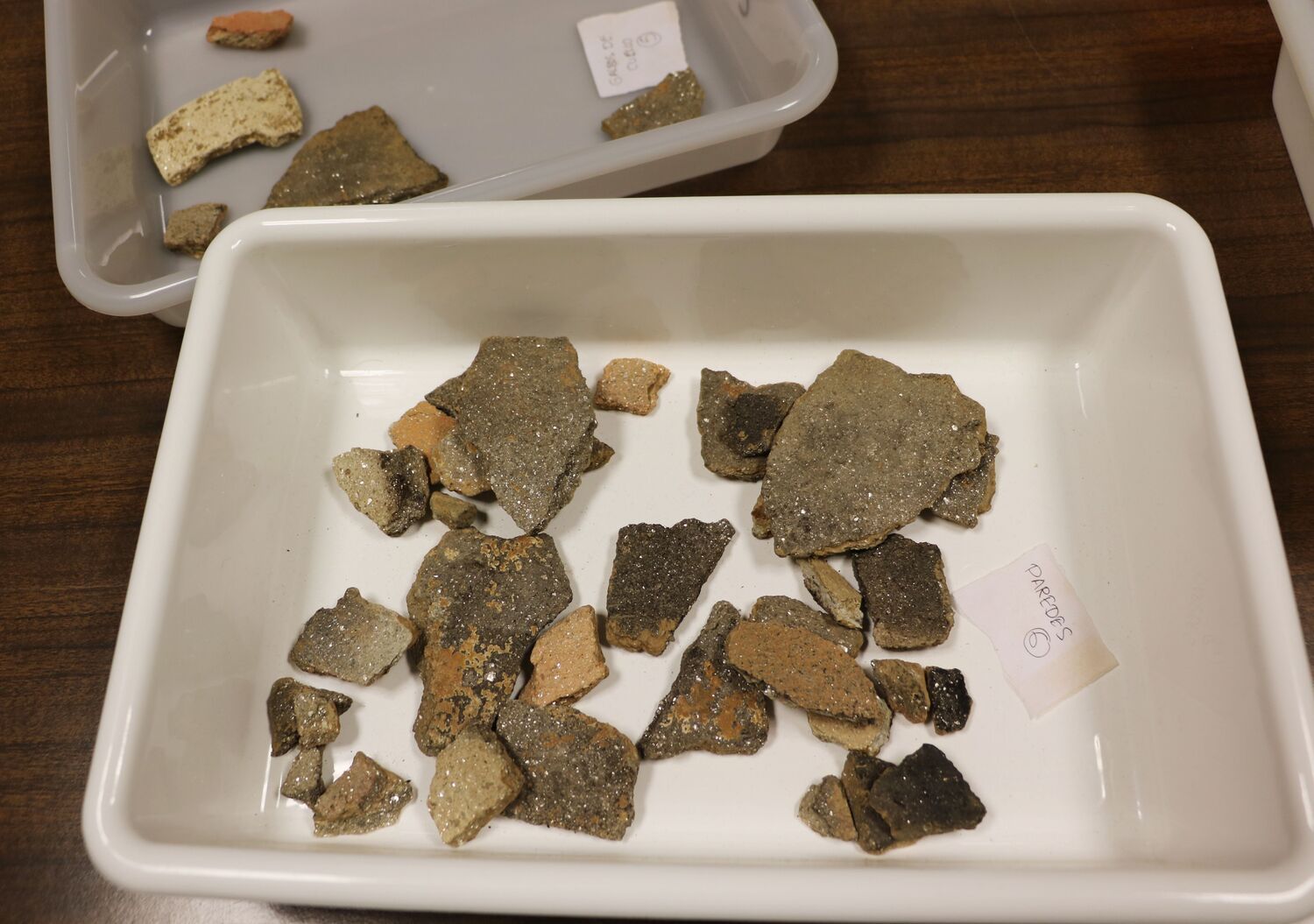 Restos hallados en el Castro de los Judíos que serán analizados en los laboratorios de la Universidad de León