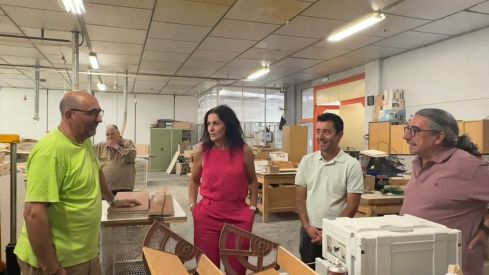 ayto san andres, asprona