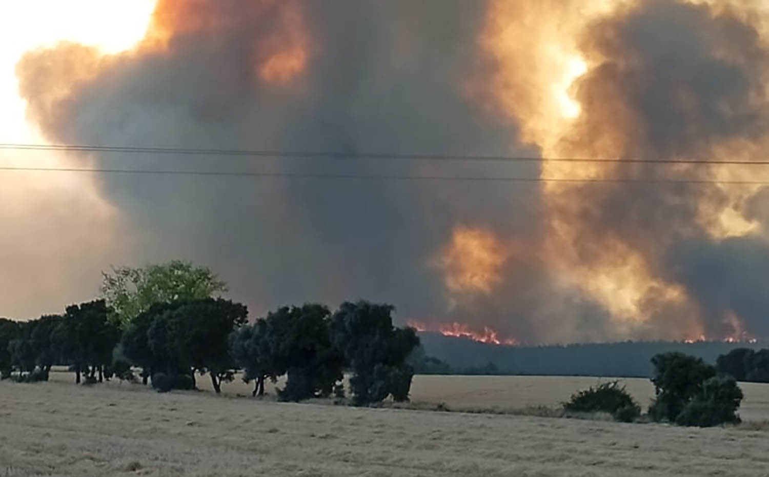 El incendio de Molezuelas de la Carballeda (Zamora) cruza a León y obliga a evacuar siete localidades de La Valdería