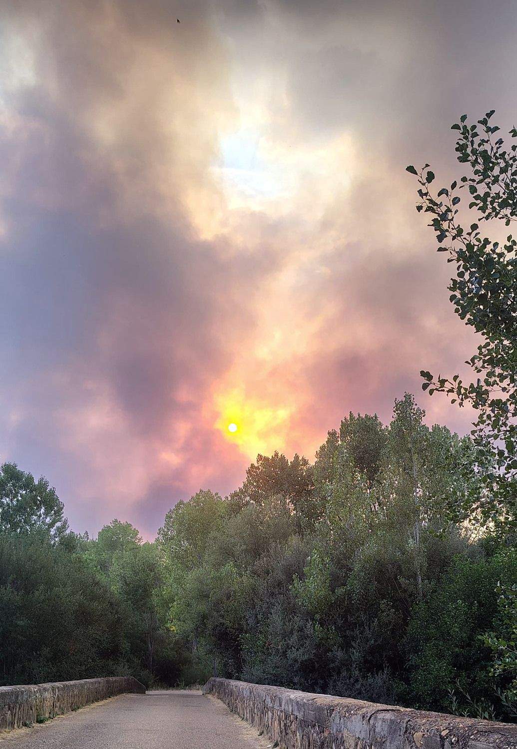 Incendio forestal en Molezuelas de la Carballeda (Zamora) que afecta a La Valdería en León | Javier López / ICAL