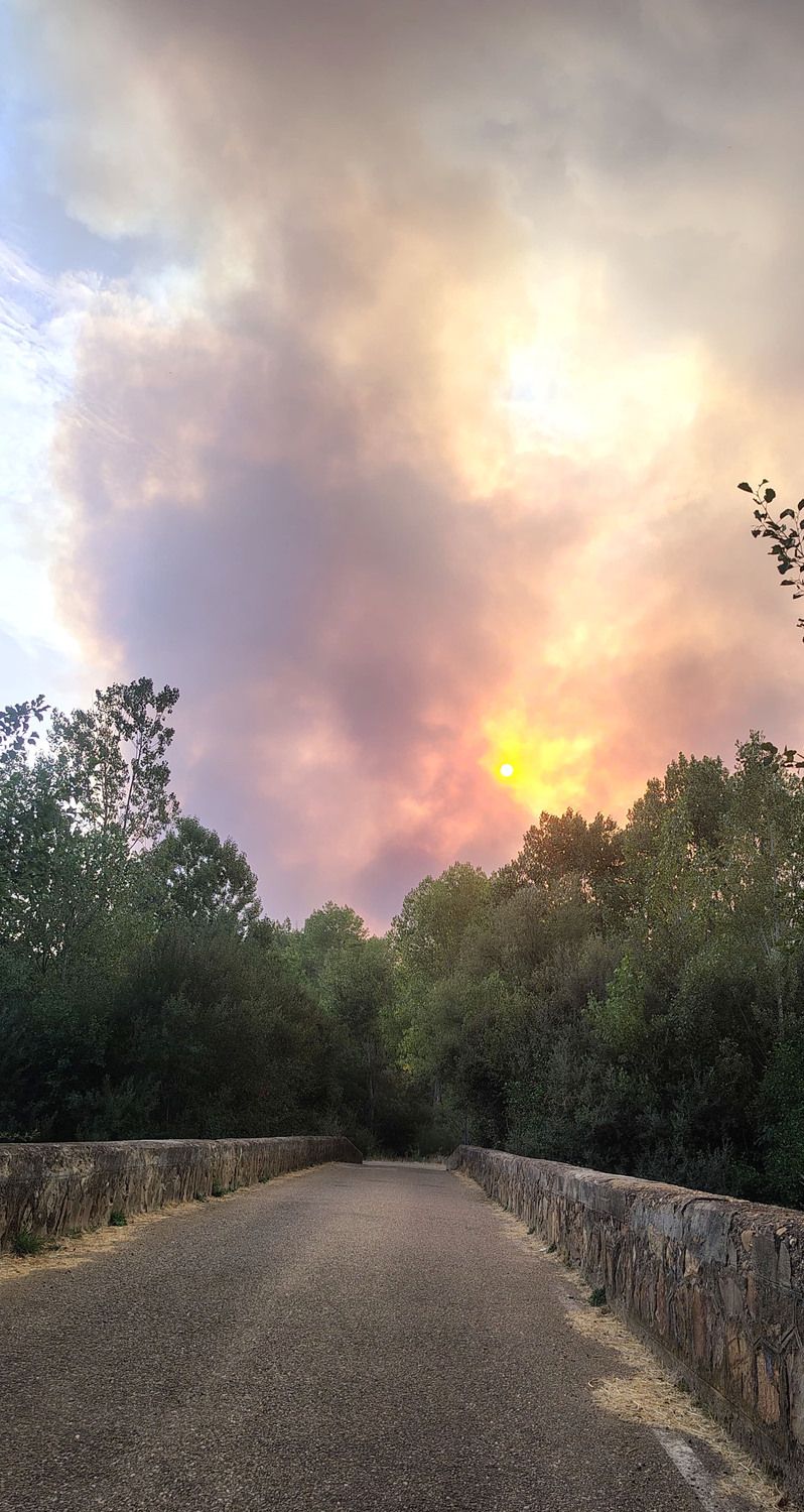 Incendio forestal en Molezuelas de la Carballeda (Zamora) que afecta a La Valdería en León | Javier López / ICAL