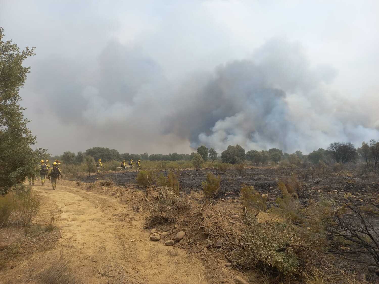 Más de 5.000 evacuados: El incendio de Molezuelas de la Carballeda (Zamora) arrasa en la provincia de León | AT Brif
