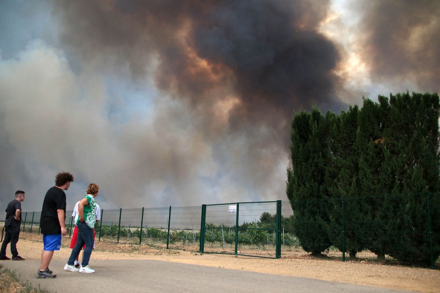 El incendio de Molezuelas de la Carballeda (Zamora) a su paso por Herreros de Jamuz (León) | Peio García (ICAL)