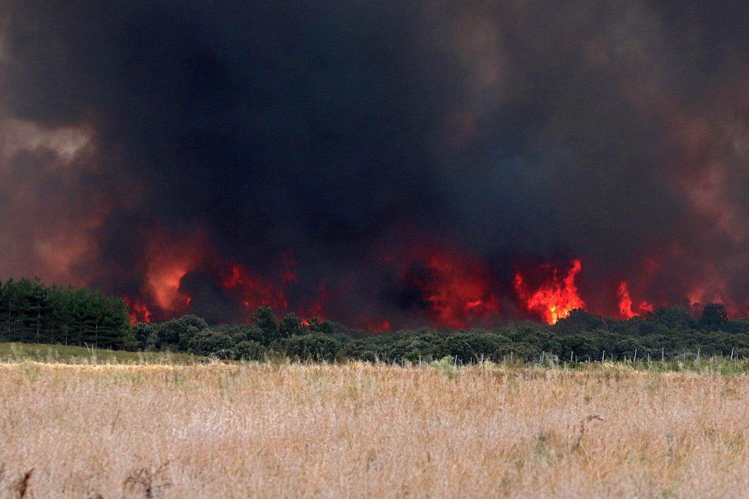 El incendio de Molezuelas de la Carballeda (Zamora) a su paso por Herreros de Jamuz (León) | Peio García (ICAL)