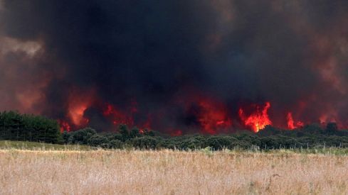El incendio de Molezuelas de la Carballeda (Zamora) a su paso por Herreros de Jamuz (León) | Peio García (ICAL)