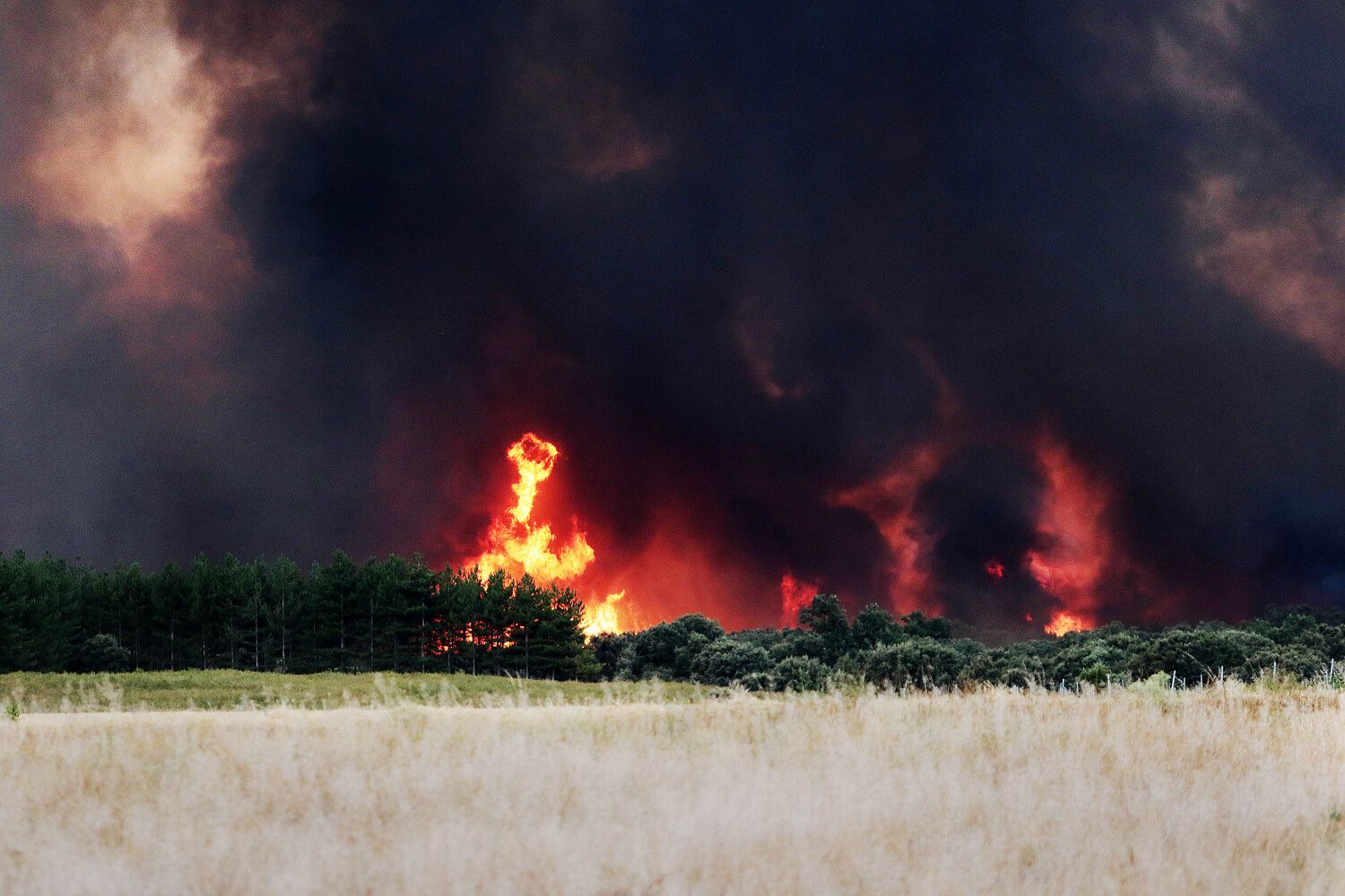 El incendio de Molezuelas de la Carballeda (Zamora) a su paso por Herreros de Jamuz (León) | Peio García (ICAL) El incendio de Molezuelas de la Carballeda (Zamora) a su paso por Herreros de Jamuz (León) | Peio García (ICAL)