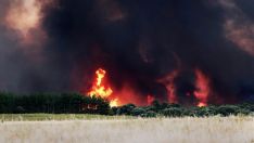 El incendio de Molezuelas de la Carballeda (Zamora) a su paso por Herreros de Jamuz (León) | Peio García (ICAL)