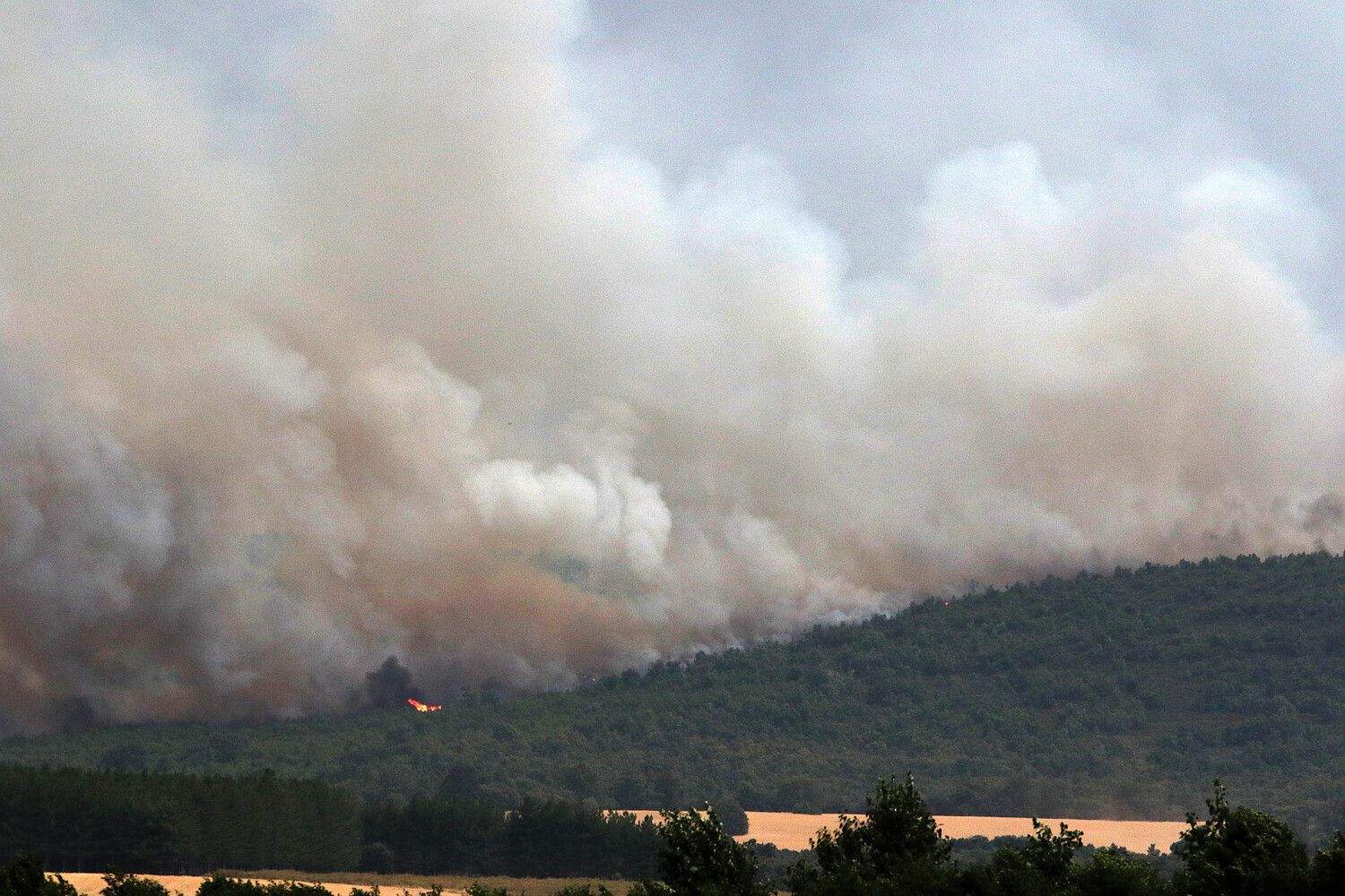El incendio de Molezuelas de la Carballeda (Zamora) a su paso por Herreros de Jamuz (León) | Peio García (ICAL)