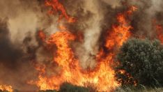 La provincia de León en máxima alerta: Más de 360.000 hectáreas en riesgo alto de incendio | J.L. Leal / ICAL 