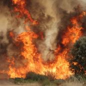 La provincia de León en máxima alerta: Más de 360.000 hectáreas en riesgo alto de incendio | J.L. Leal / ICAL 