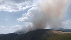 Asciende a Nivel 2 el incendio forestal de Fasgar 