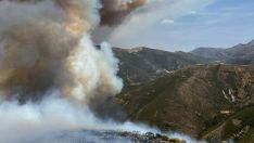 La evolución del incendio en Barniedo de la Reina permite el realojo de cuatro nuevas localidades  | AT Brif