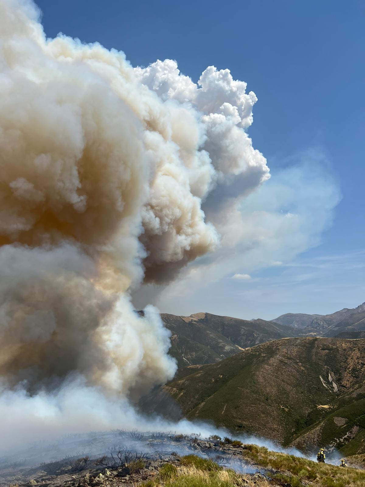 El incendio de Barniedo de la Reina, ascendido a Nivel 2, obliga a confinar las localidades de Portilla y Llánaves de la Reina | AT Brif