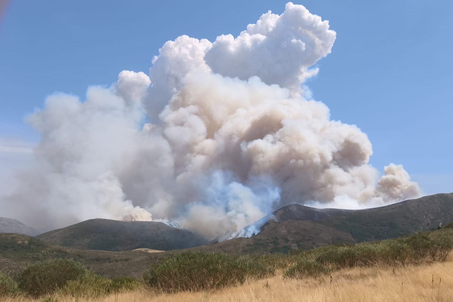 Incendio forestal en Barniedo de la Reina (León) | BRIF La Iglesuela