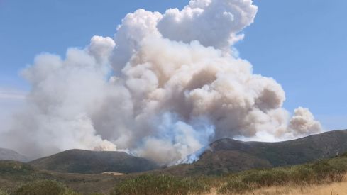Incendio forestal en Barniedo de la Reina (León) | BRIF La Iglesuela