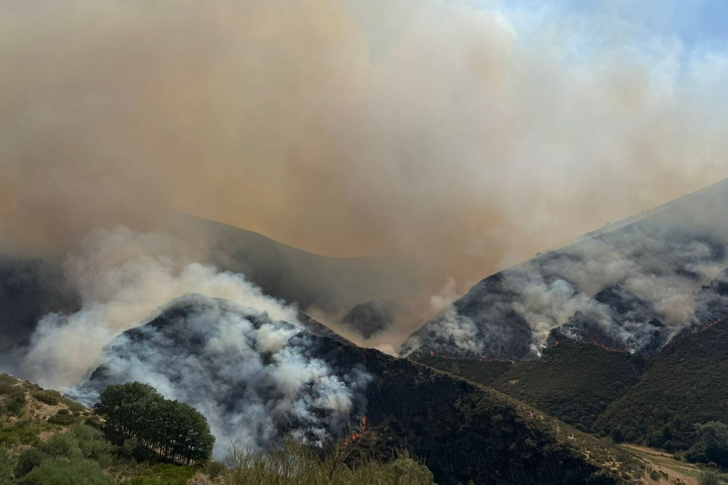 Incendio en Barniedo de la Reina | Alberto García Incendio en Barniedo de la Reina | Alberto García