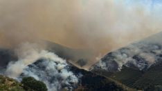 Incendio en Barniedo de la Reina | Alberto García