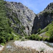 Nuevo incendio en la Montaña Oriental Leonesa: El fuego ataca Caín de Valdeón | Eduardo Margareto / ICAL
