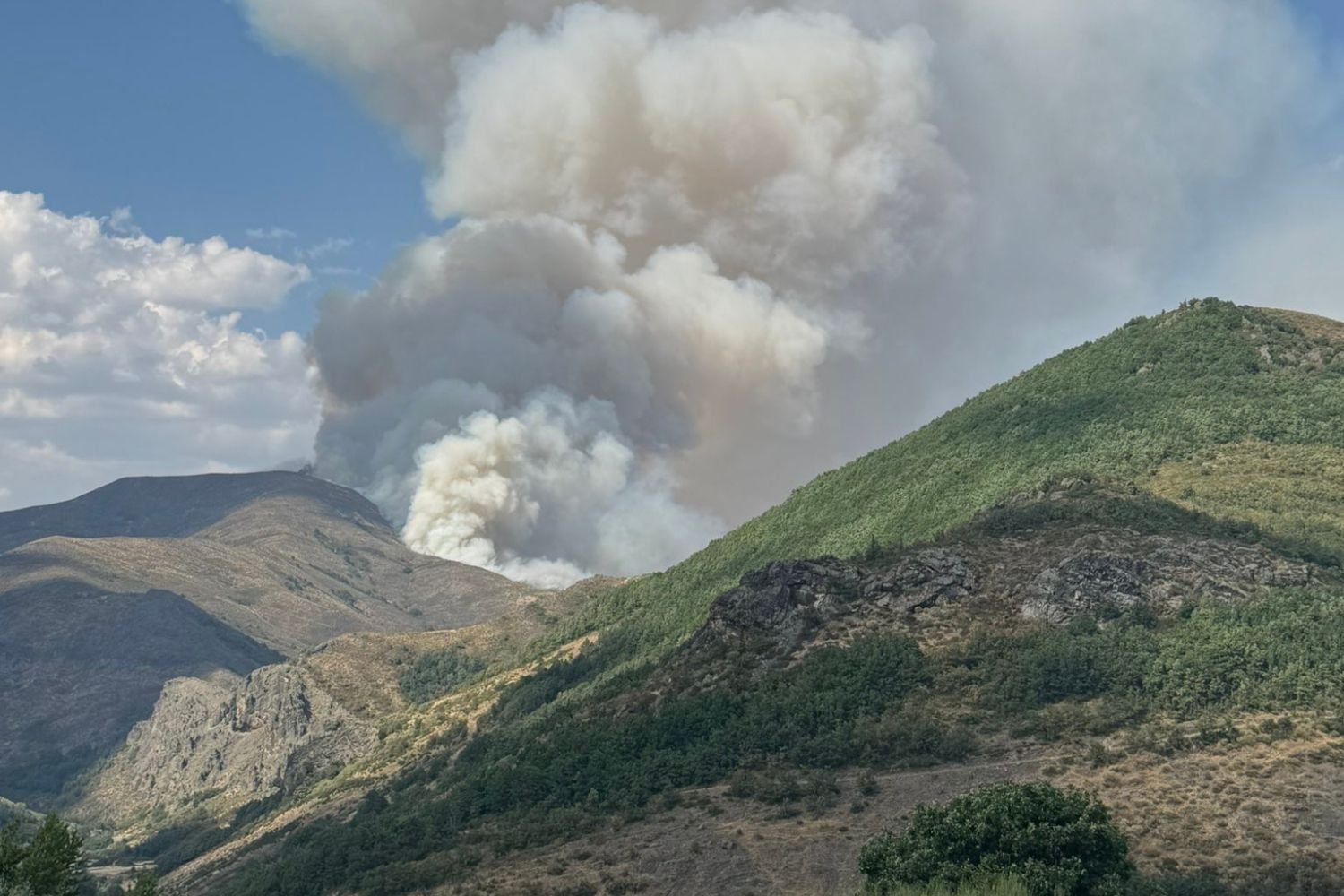 Incendio Forestal en Barniedo de la Reina, en la Montaña Oriental Leonesa | X: Alberto García 