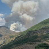 Incendio Forestal en Barniedo de la Reina, en la Montaña Oriental Leonesa | X: Alberto García Incendio Forestal en Barniedo de la Reina, en la Montaña Oriental Leonesa | X: Alberto García