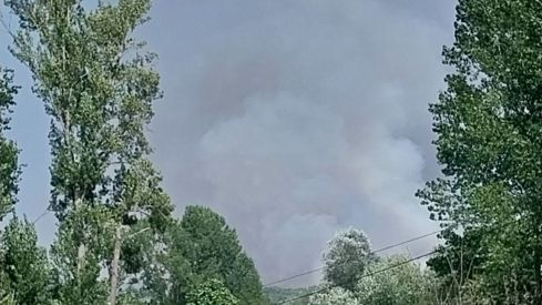 Incendio Forestal de Canalejas visto desde Almanza | X: @esther41280