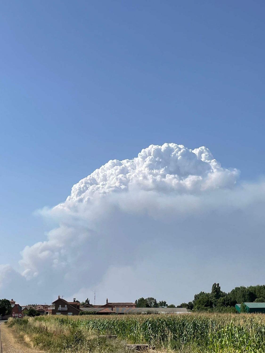 Incendio Forestal en Canalejas | AT BRIF