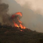  Sábado negro en la provincia de León: 21 incendios, 28 localidades desalojadas y más de 1.400 evacuados | Peio García / ICAL