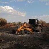 Consecuencias del incendio forestal de Molezuelas de la Carballeda (Zamora) en Herreros de Jamuz (León) | Peio García / ICAL